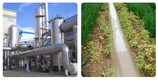 product-516-262 product-516-262